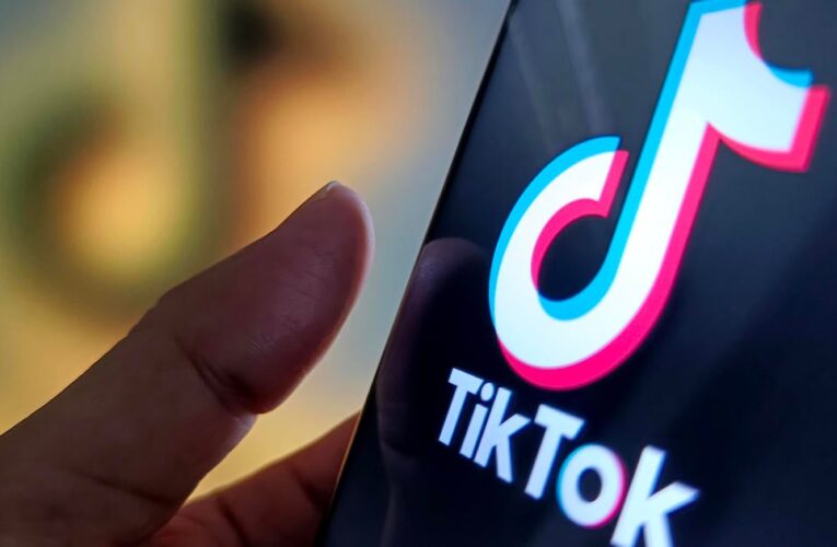 TikTok asks Supreme Court to block ban as deadline nears