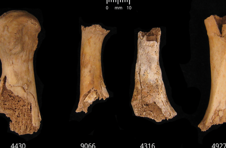 Bronze-Age Britons were cannibalized after massacre, research shows