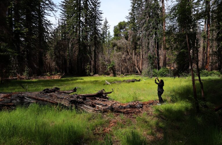 California State Parks to offer 90+ guided First Day Hikes on Jan. 1