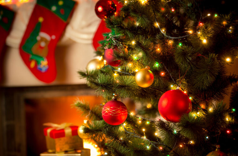 How to prevent Christmas tree fires this holiday season