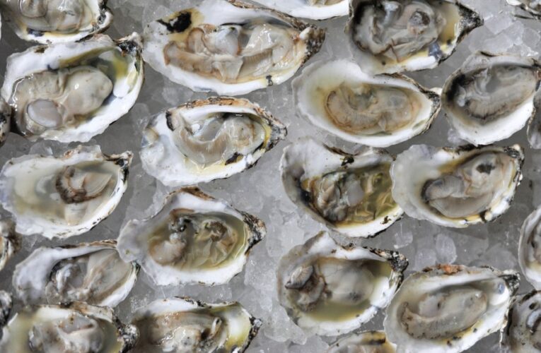 Dozens sickened by oysters at L.A. Times food event