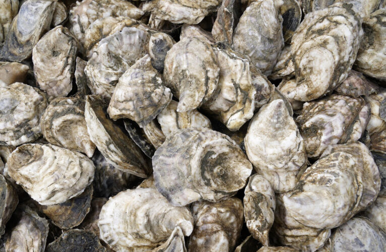 Raw oysters linked to norovirus sickens 80 at Los Angeles event celebrating city’s top restaurants