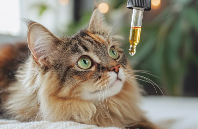 Can CBD Keep Cats From The Christmas Tree