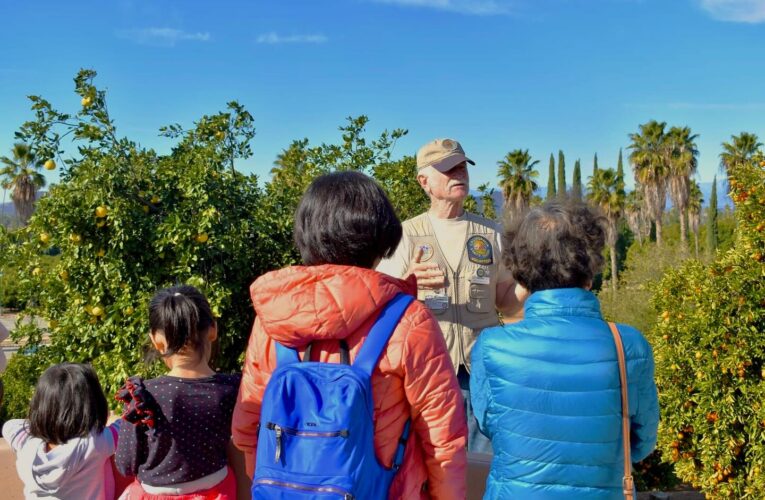 Citrus Park Tours Are Back in Time for Christmas Break