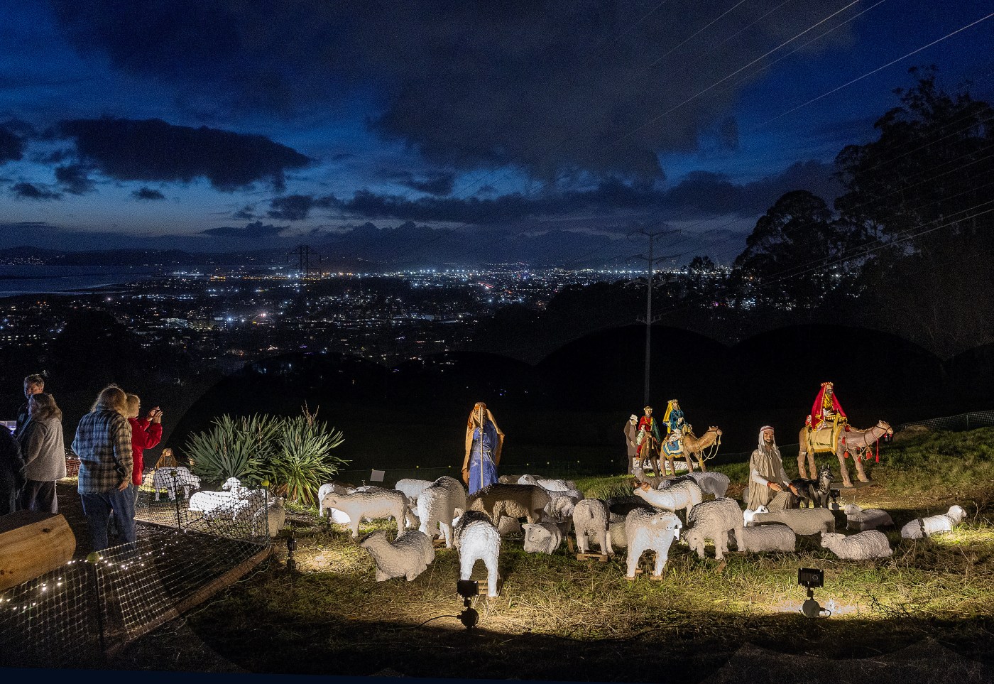 repairing-shepherd-skulls-and-broken-camel-necks:-how-a-bay-area-community-restored-one-of-the-area’s-most-unique-christmas-traditions