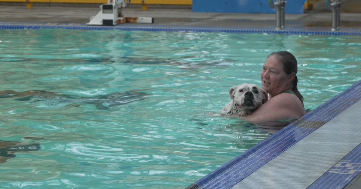 attendees-dive-in-paws-first-at-lompoc-aquatic-center’s-‘pooch-plunge’