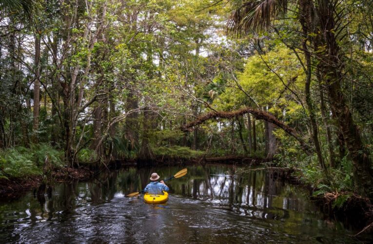 Travel: Paddle the Loxahatchee River, one of two National Wild and Scenic Rivers in Florida