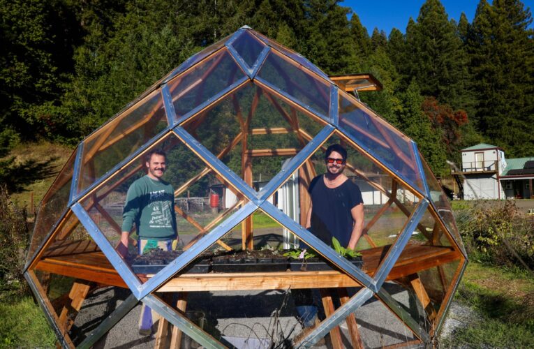 What is solarpunk? Inside an audaciously hopeful environmental movement that’s thriving in the Bay Area