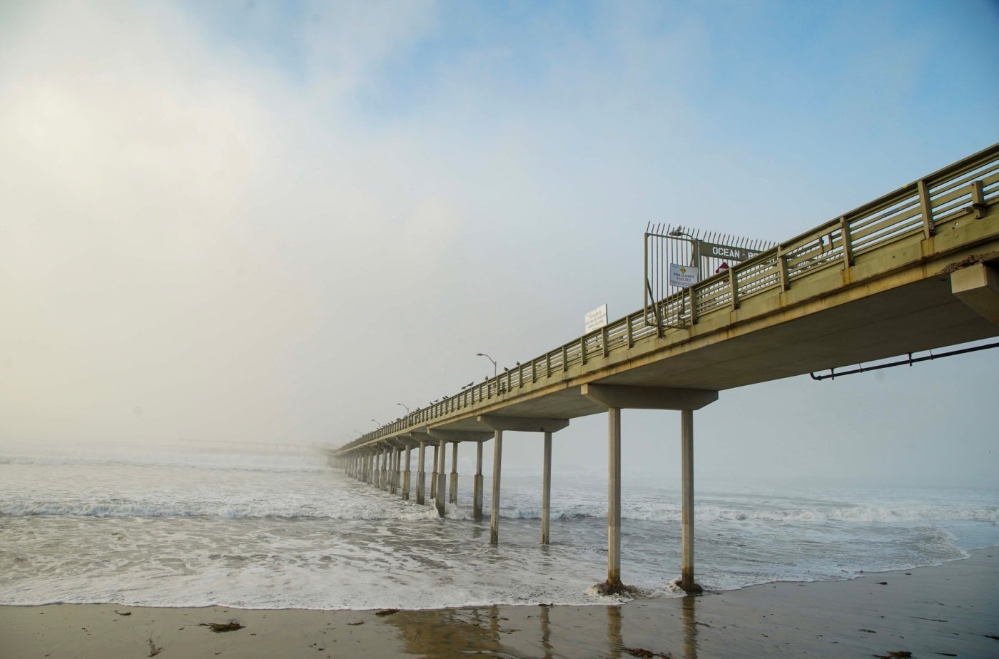 enveloping-fog-and-drizzle-create-low-visibility-for-christmas-eve-drivers