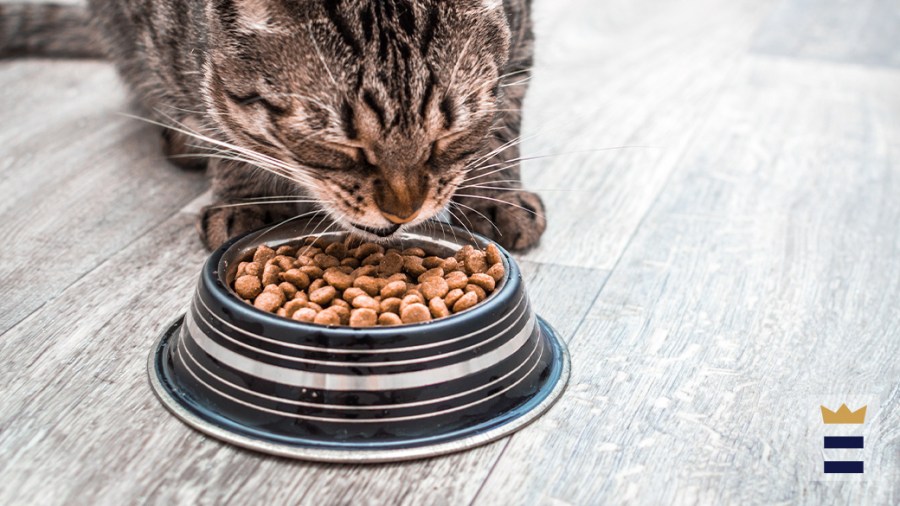 cat-food-sold-in-california,-11-other-states-recalled-following-death