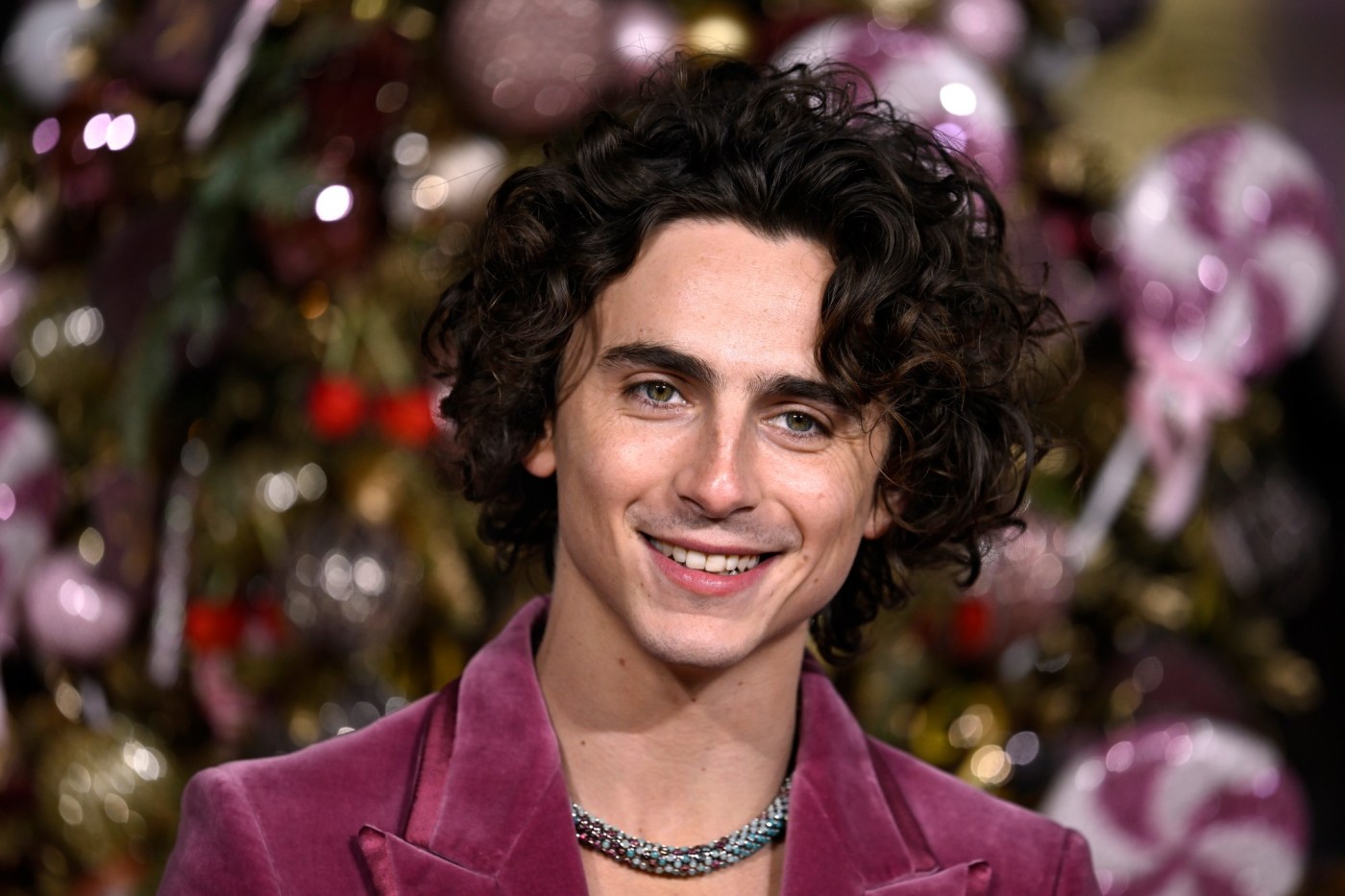 horoscopes-dec.-27,-2024:-timothee-chalamet,-calling-the-shots-and-managing-your-life-is-up-to-you