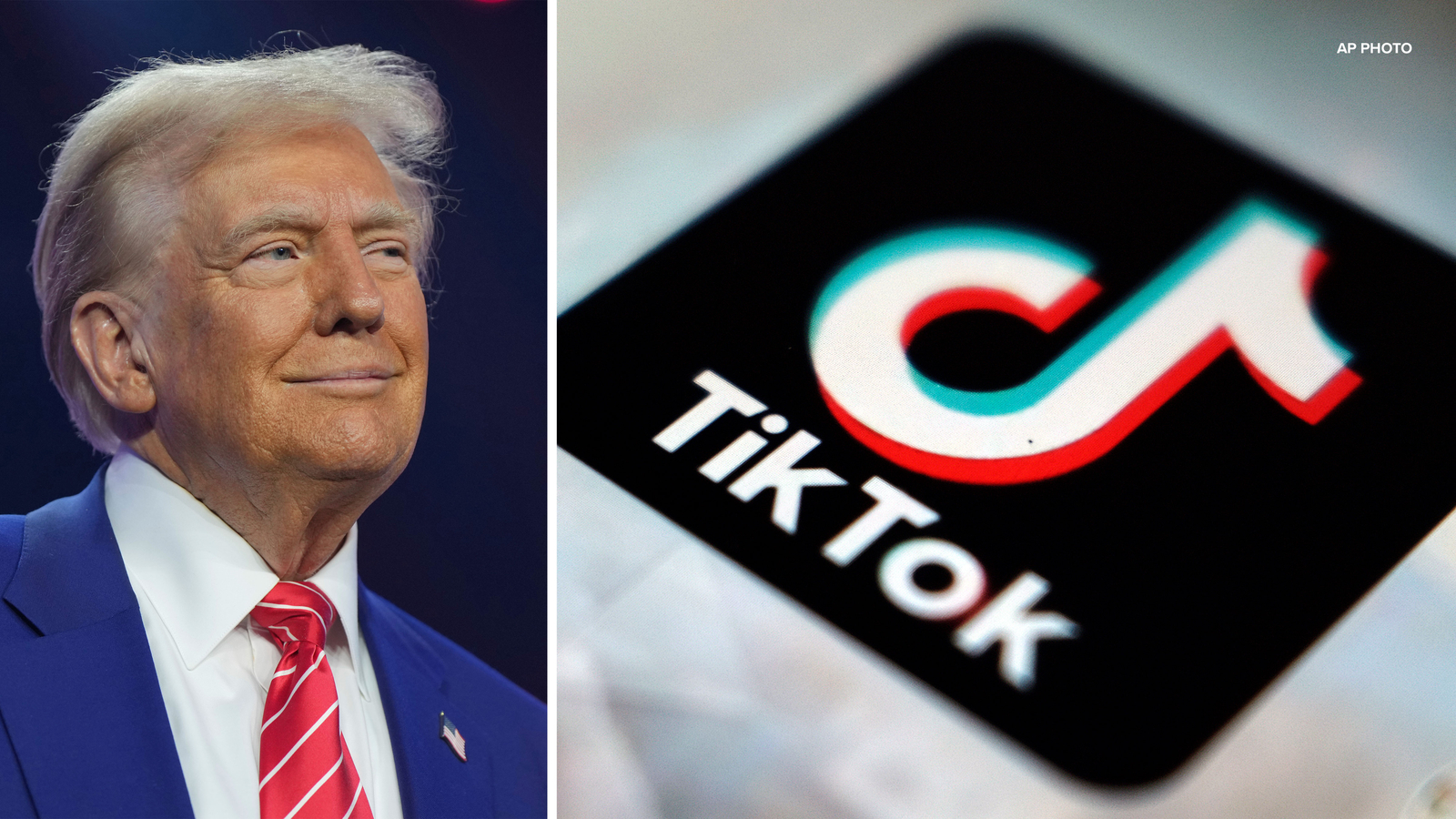 trump-asks-supreme-court-to-delay-tiktok-ban-so-he-can-weigh-in-after-he-takes-office