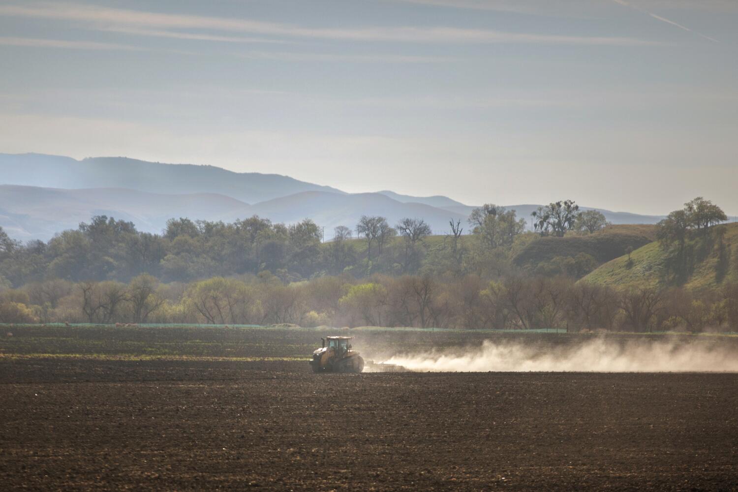 valley-fever-cases-spike-in-california,-already-way-up-from-recent-years