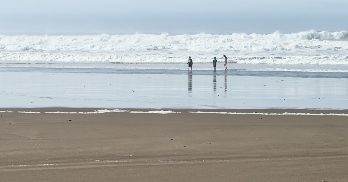 ‘i’m-keeping-my-eye-on-it’:-large-turnout-despite-high-surf-along-the-central-coast-beaches