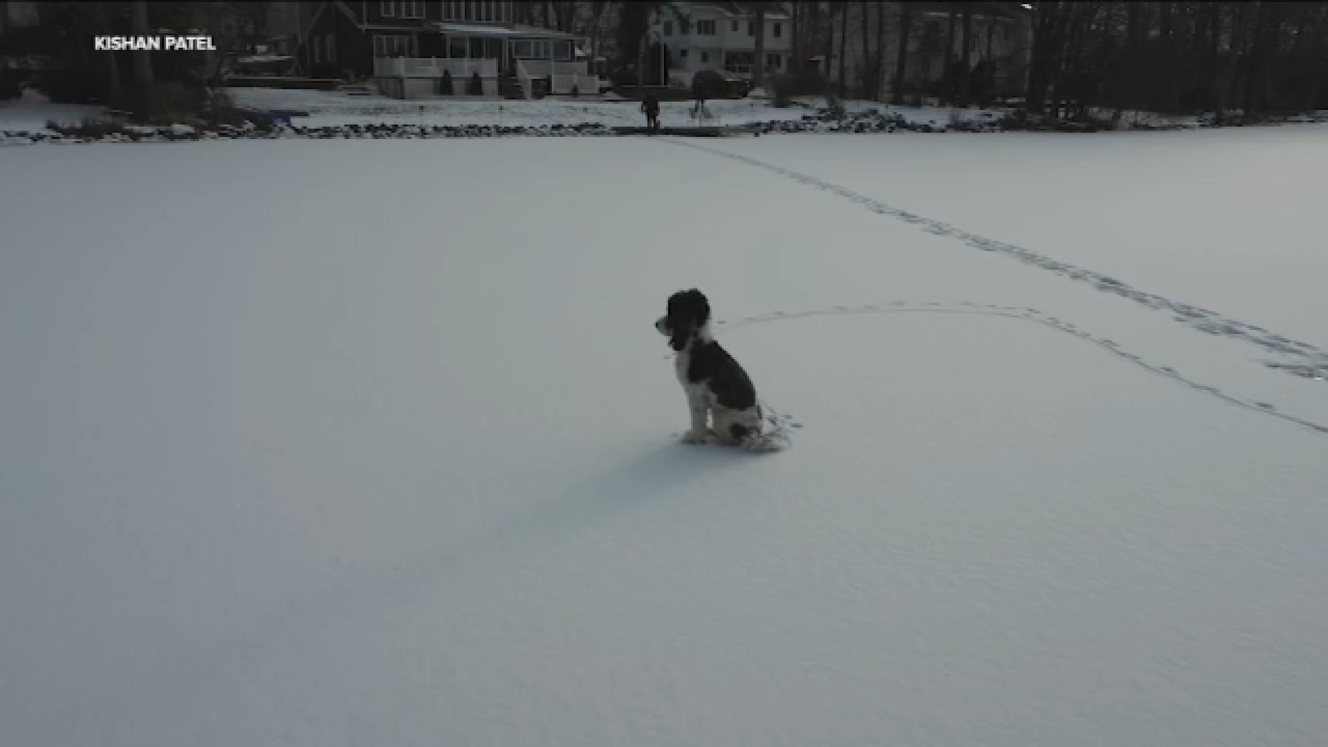 puppy-stuck-on-frozen-new-jersey-lake-for-hours-brought-home-to-safely-with-help-of-drone