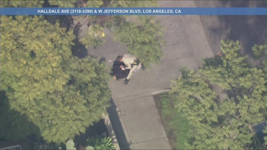 suspected-car-thief-in-custody-after-lengthy-pursuit-through-los-angeles-county