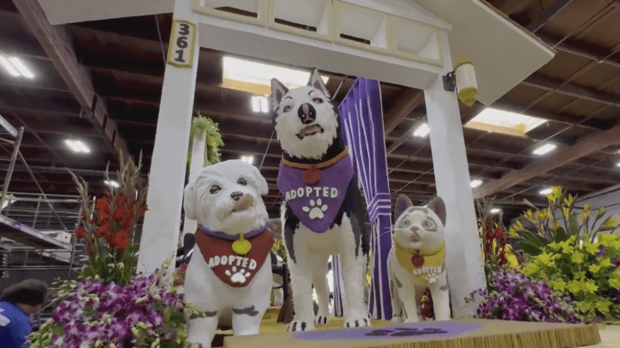 volunteers-put-finishing-touches-on-2025-rose-parade-floats