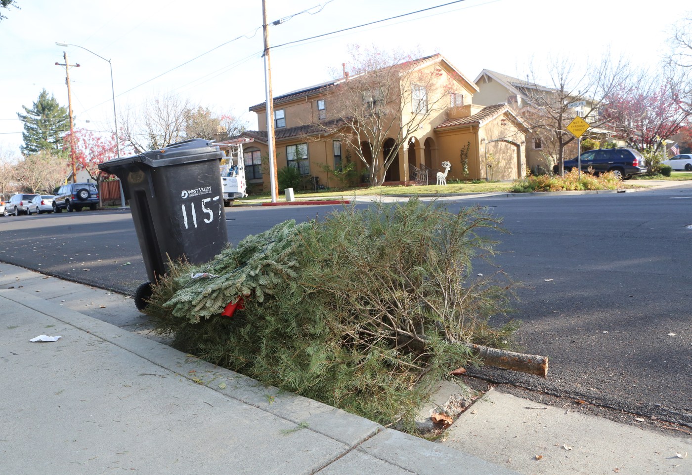 here’s-how-to-get-rid-of-your-christmas-tree-around-the-bay-area