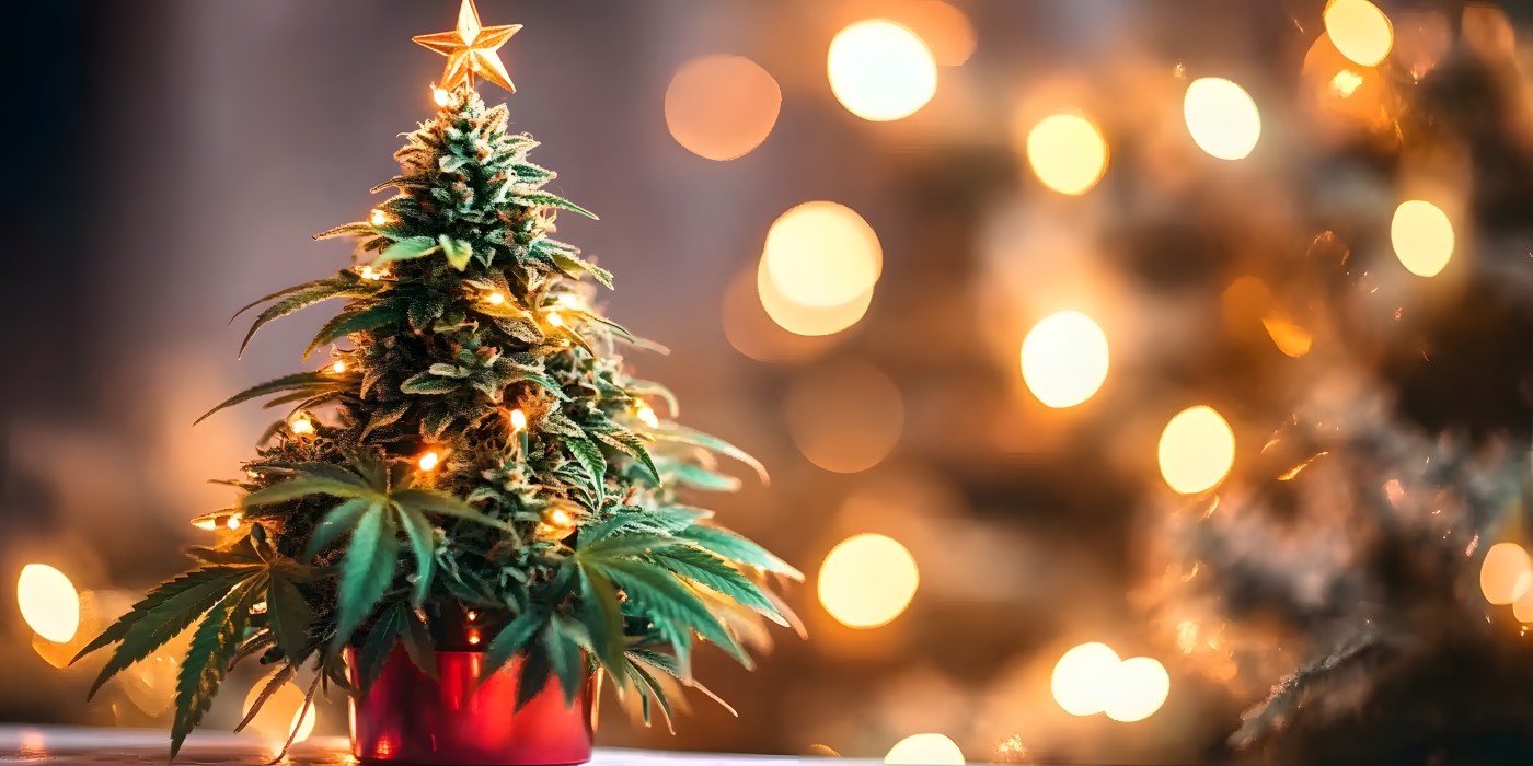 cannabis-themed-holiday-decorations:-a-bold,-fun,-and-festive-twist