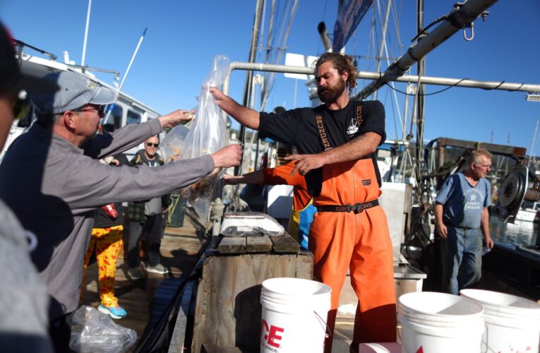 Commercial crabbing season takes sail