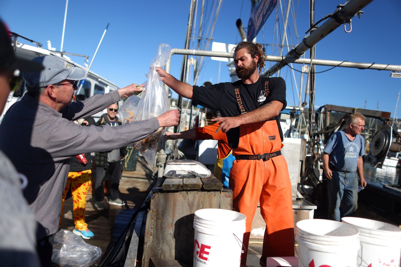 commercial-crabbing-season-takes-sail