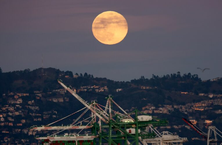 Photos: The full Wolf Moon rises around the Bay and the world