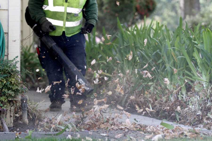 pasadena-temporarily-bans-leaf-blowers-to-combat-poor-air-quality