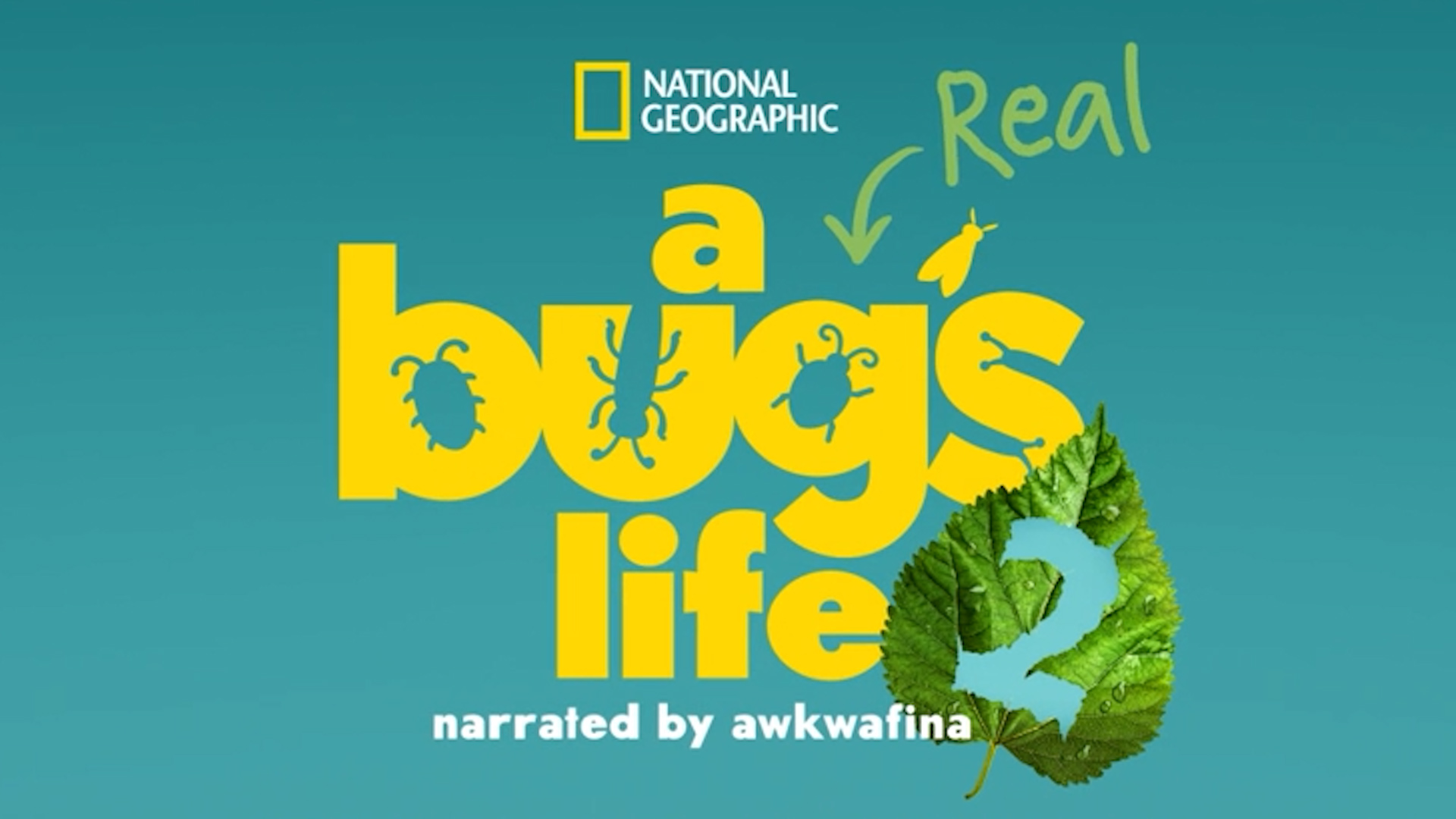 little-bugs,-big-stories.-natgeo’s-‘a-real-bug’s-life’-is-back-for-season-two