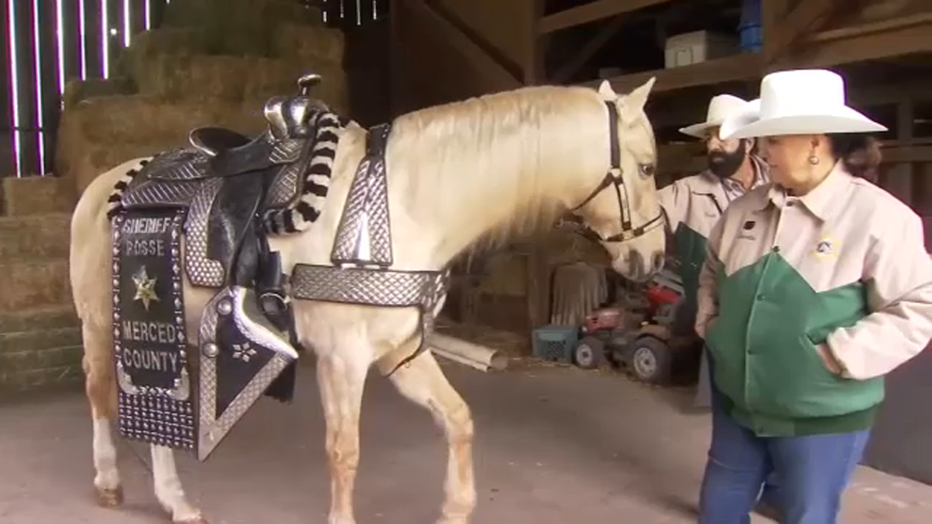 merced-county-sheriff’s-office-horses-and-riders-head-to-inauguration-parade