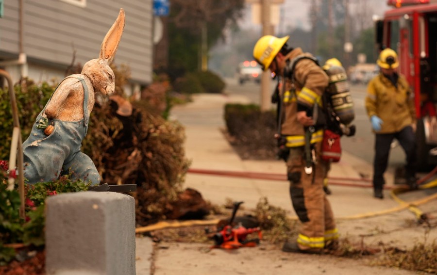 bunny-museum-to-return-to-location-burned-down-by-eaton-fire