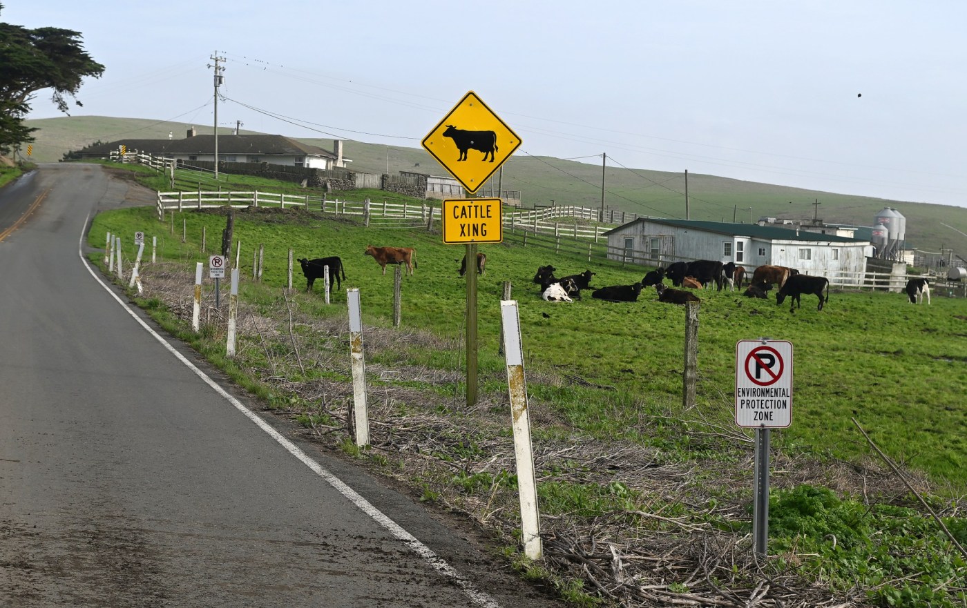 ‘environmental-terrorism’:-point-reyes-settlement-roils-agricultural-community