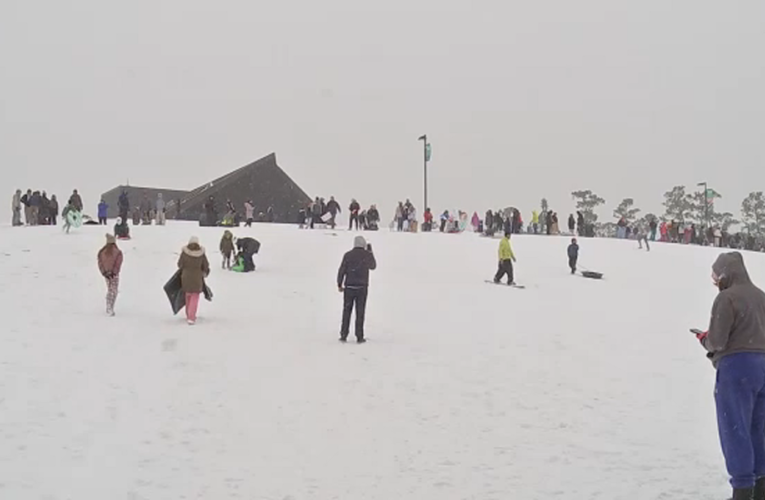 Photos show historic snowfall across Houston area