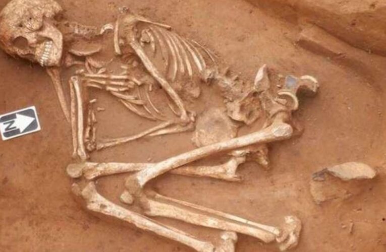 Skeleton of Bronze Age woman discovered in U.K.