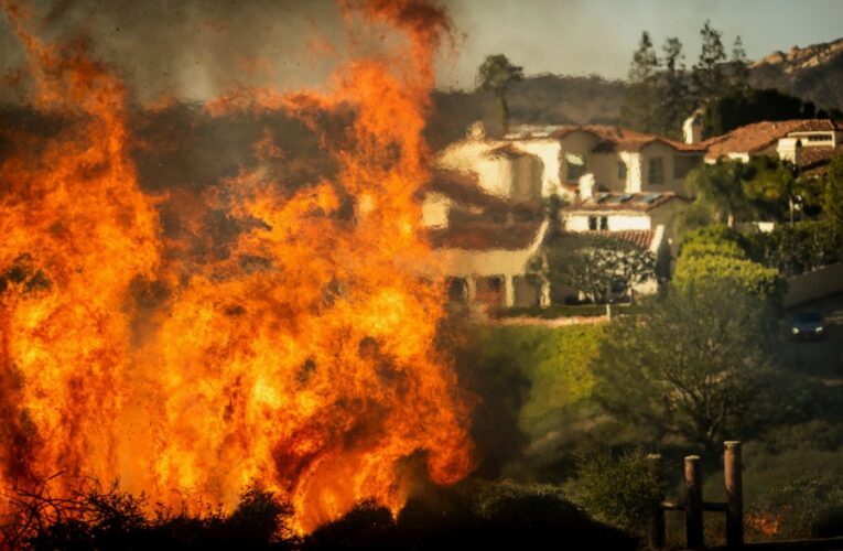 The Los Angeles wildfires could impact marine life