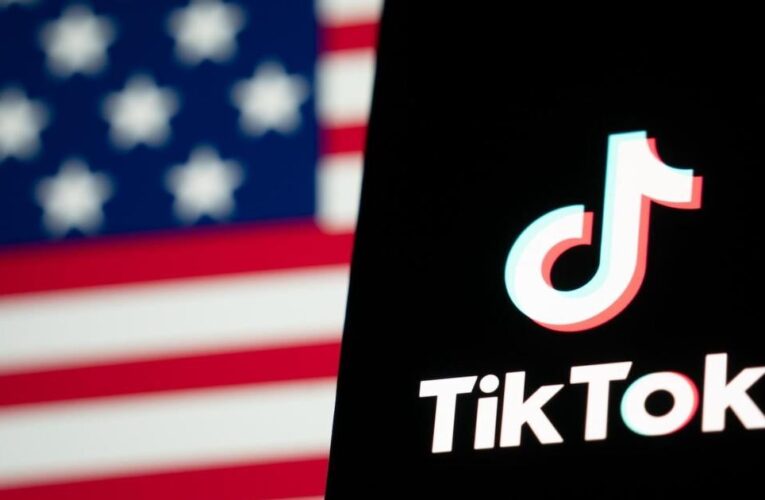 Did TikTok legally have to shut down, or did its leadership choose to?