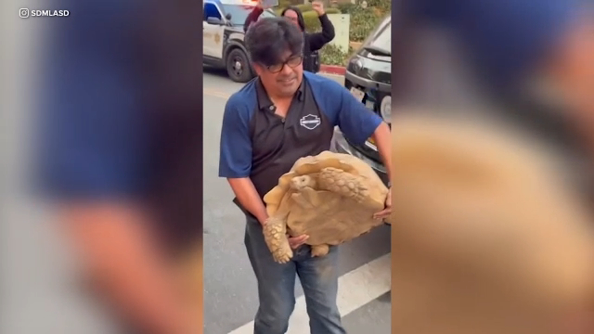 family’s-100-pound-pet-tortoise-found-safe-after-surviving-eaton-fire-in-california